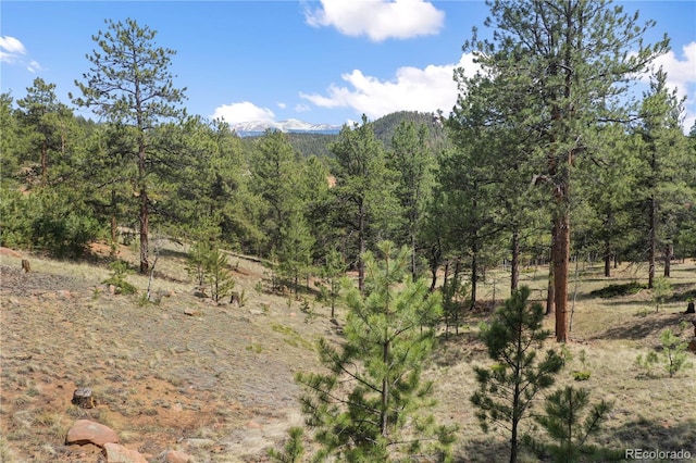 840 Obsidian Dr, Florissant, CO 80816 - view of tree filled area with a mountain view