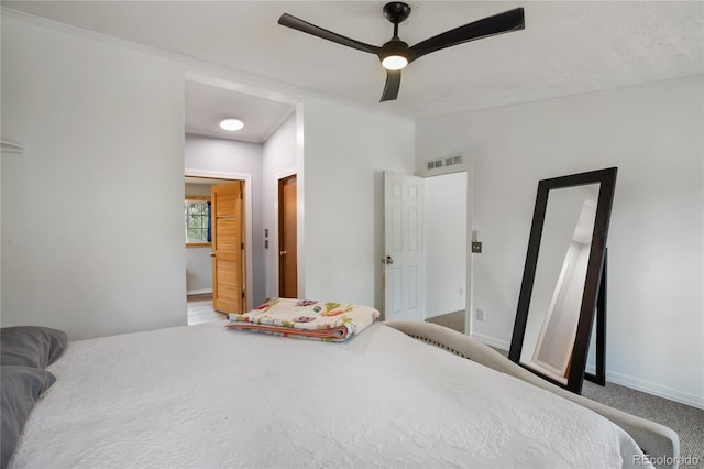 840 Obsidian Dr, Florissant, CO 80816 - bedroom featuring baseboards, a spacious closet, ceiling fan, and carpet floors
