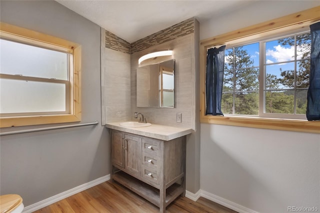 840 Obsidian Dr, Florissant, CO 80816 - bathroom featuring vanity, wood finished floors, baseboards, and toilet