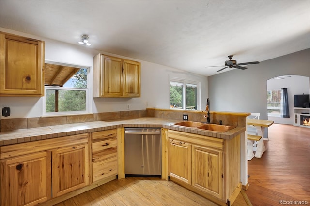 840 Obsidian Dr, Florissant, CO 80816 - kitchen featuring dishwasher, a sink, a peninsula, light wood-type flooring, and open floor plan