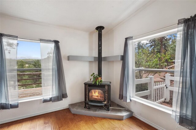 840 Obsidian Dr, Florissant, CO 80816 - detailed view of a wood stove, crown molding, and wood finished floors