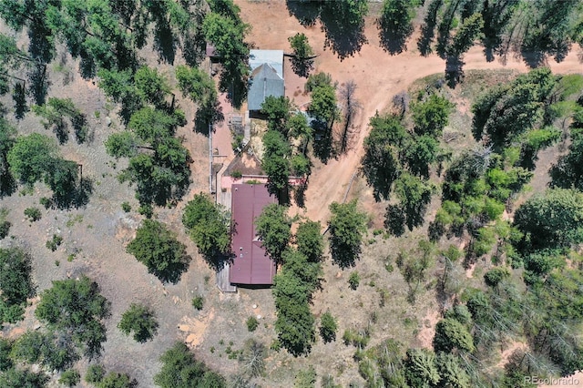 840 Obsidian Dr, Florissant, CO 80816 - view of rural area