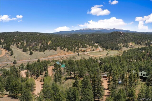 840 Obsidian Dr, Florissant, CO 80816 - view of mountain background with a heavily wooded area