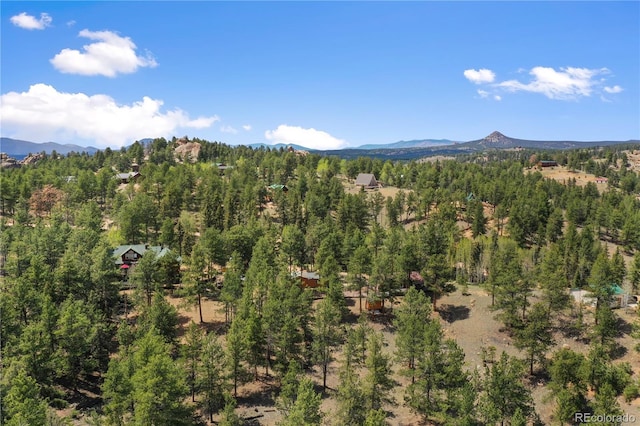 840 Obsidian Dr, Florissant, CO 80816 - view of mountain backdrop with a forest