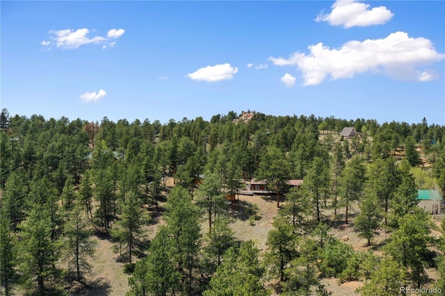 840 Obsidian Dr, Florissant, CO 80816 - view of wooded area