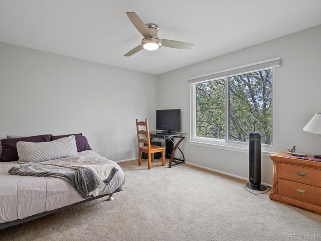 5454 S Everett Ct, Littleton, CO 80123 - photo 28