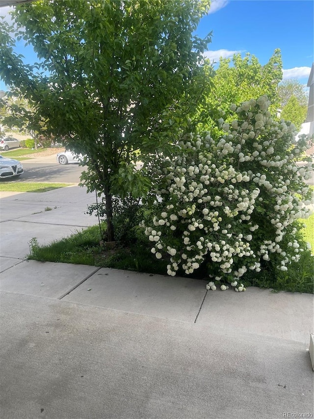 5537 Malta St, Denver, CO 80249 - exterior view