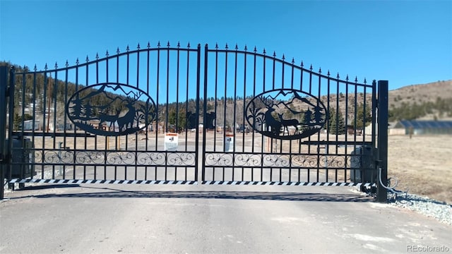 19 Flat Car Way, Hartsel, CO 80440