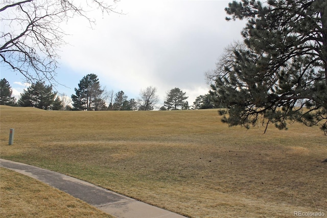 view of yard