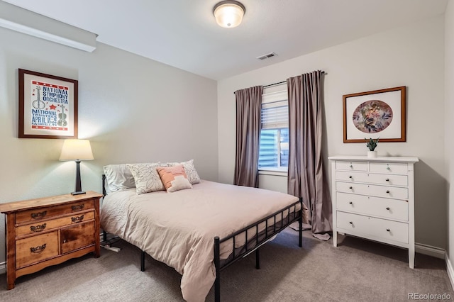 3386 Beeler Ct, Denver, CO 80238 - bedroom featuring carpet floors