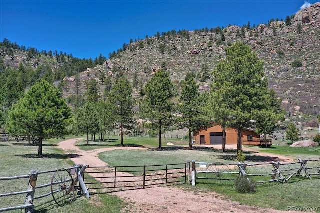 437 Langnis Rd, Guffey, CO 80820 - mountain view