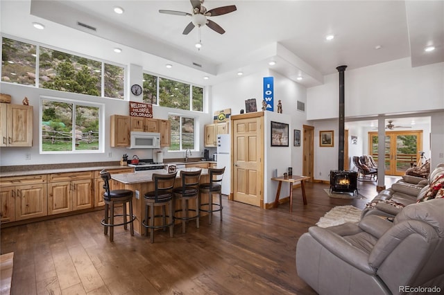 437 Langnis Rd, Guffey, CO 80820 - living room with a towering ceiling, ceiling fan, a wood stove, dark wood finished floors, and recessed lighting