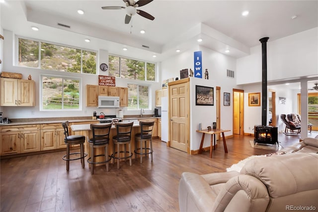 437 Langnis Rd, Guffey, CO 80820 - living room featuring a high ceiling, a wood stove, ceiling fan, recessed lighting, and dark wood-style floors