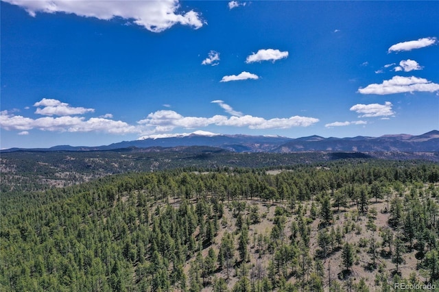 437 Langnis Rd, Guffey, CO 80820 - view of mountain background featuring a forest