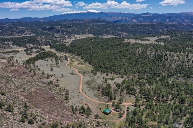 437 Langnis Rd, Guffey, CO 80820 - bird's eye view of a mountainous background