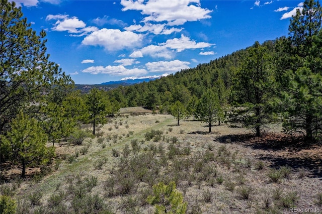 437 Langnis Rd, Guffey, CO 80820 - view of mountain background featuring a forest