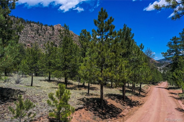 437 Langnis Rd, Guffey, CO 80820 - mountain view