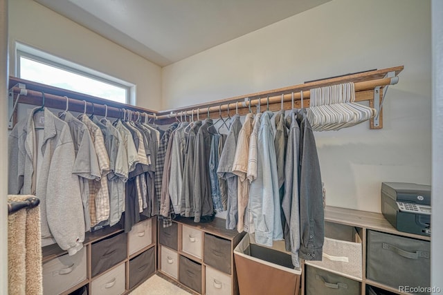 7103 Ranch Rd, Hartsel, CO 80449 - view of spacious closet