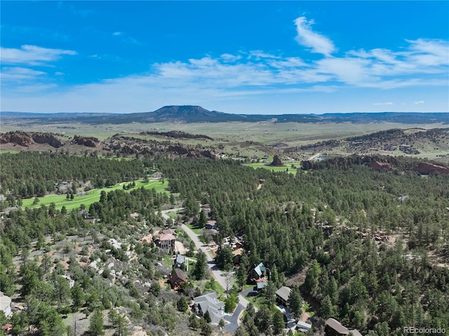 bird's eye view of a mountain backdrop and a heavily wooded area