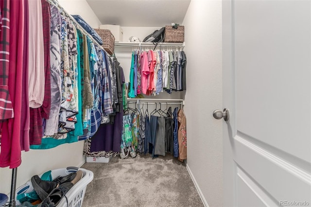 14008 Jackson St, Thornton, CO 80602 - photo 25