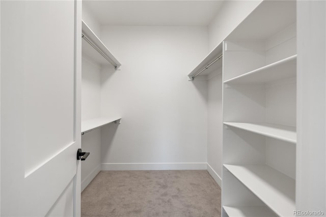 spacious closet with light colored carpet