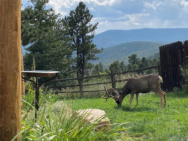 31755 Ponderosa Way, Evergreen, CO 80439 - view of mountain background featuring a heavily wooded area