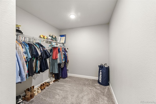 2576 Villageview Ln, Castle Rock, CO 80104 - walk in closet with carpet floors