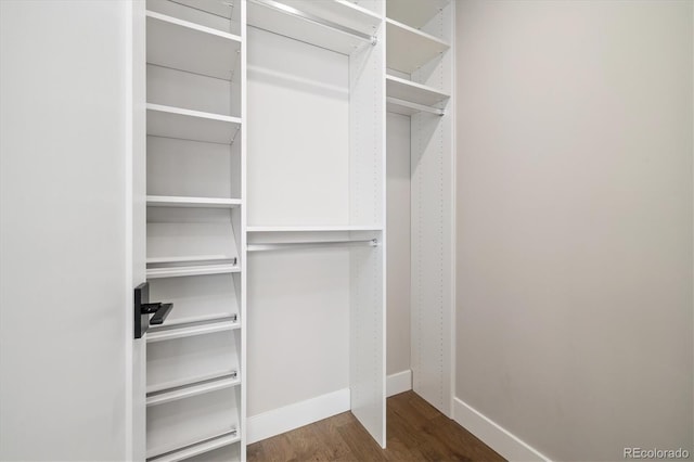 2010 Irving St, Denver, CO 80211 - photo 39