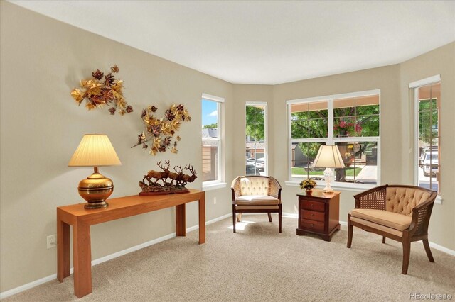 14191 W Amherst Ave, Lakewood, CO 80228 - photo 5