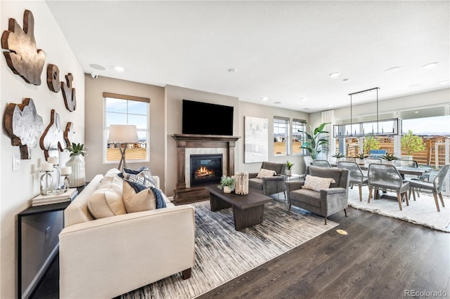 living room featuring hardwood / wood-style flooring, a fireplace, and a healthy amount of sunlight