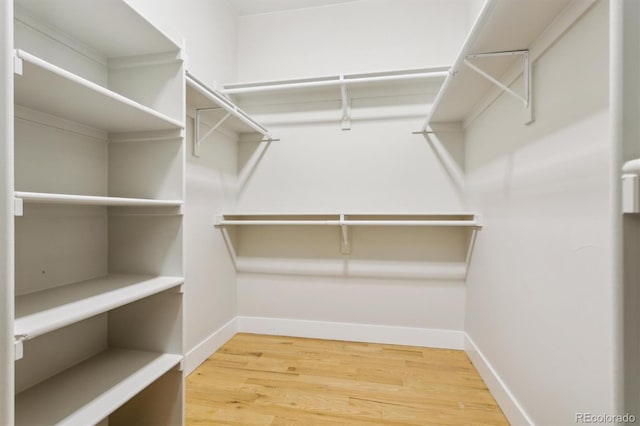 walk in closet with hardwood / wood-style flooring