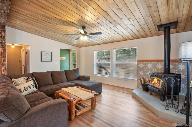 944 County Road 512, Divide, CO 80814 - photo 3