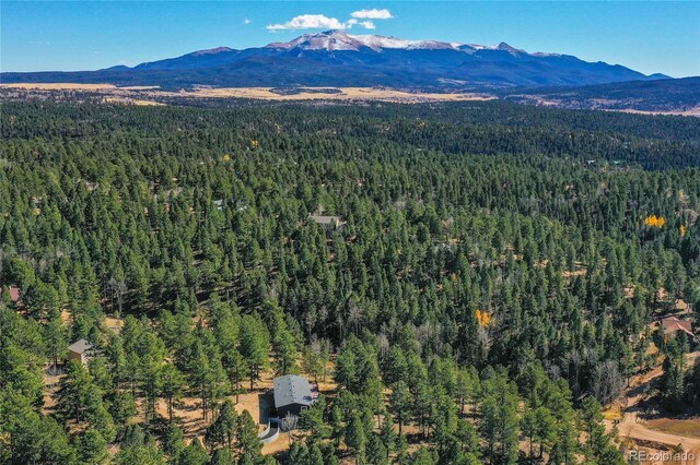 944 County Road 512, Divide, CO 80814 - photo 10