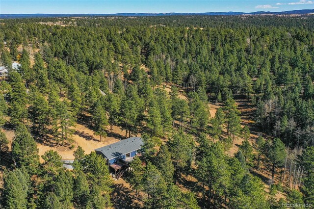 944 County Road 512, Divide, CO 80814 - photo 11