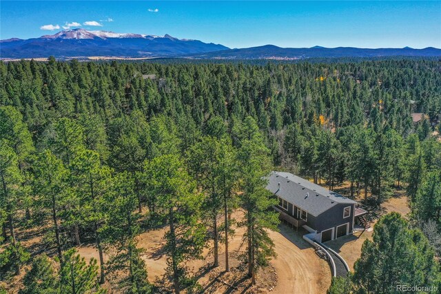 944 County Road 512, Divide, CO 80814 - photo 13