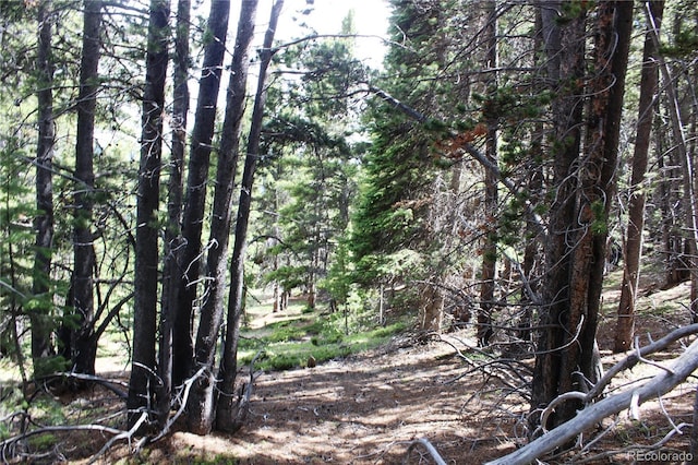 GROUP2-3 Lamartine Rd, Idaho Springs, CO 80452