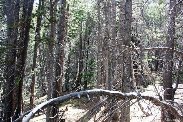 GROUP2-3 Lamartine Rd, Idaho Springs, CO 80452