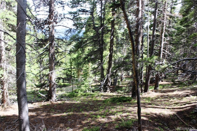 GROUP2-3 Lamartine Rd, Idaho Springs, CO 80452