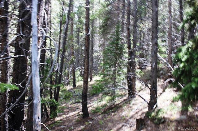GROUP2-3 Lamartine Rd, Idaho Springs, CO 80452