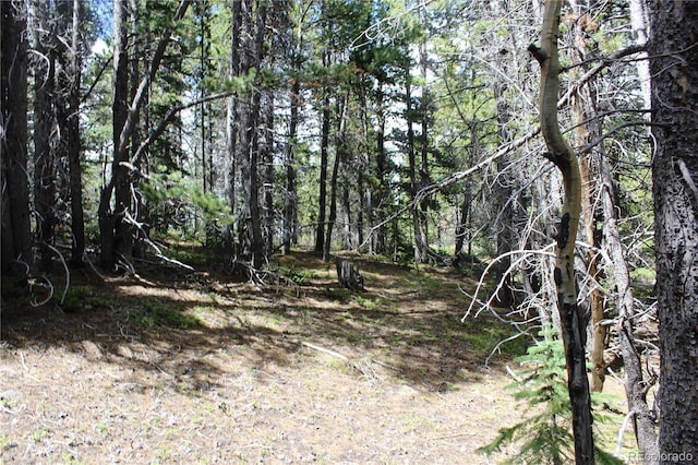 GROUP2-3 Lamartine Rd, Idaho Springs, CO 80452