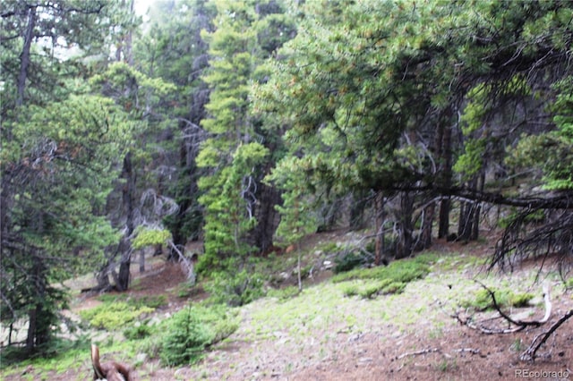 GROUP2-3 Lamartine Rd, Idaho Springs, CO 80452
