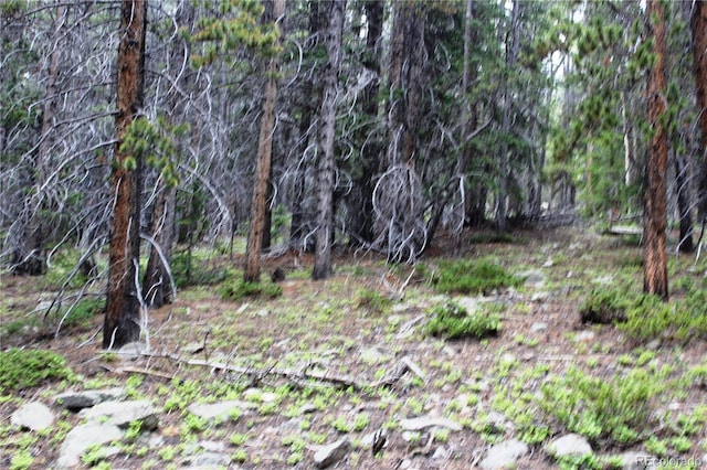 GROUP2-3 Lamartine Rd, Idaho Springs, CO 80452