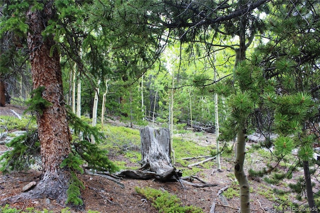 GROUP2-3 Lamartine Rd, Idaho Springs, CO 80452
