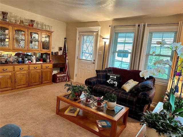 living room featuring light colored carpet
