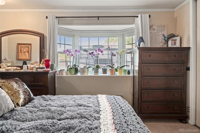 bedroom featuring carpet floors, crown molding, and multiple windows