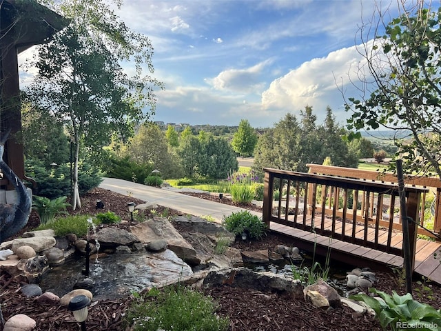 7290 Weaver Cir, Castle Rock, CO 80104 - photo 3