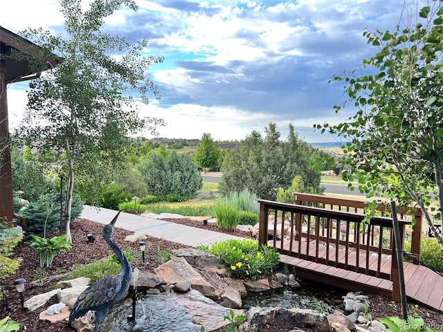 7290 Weaver Cir, Castle Rock, CO 80104 - photo 45