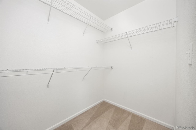 spacious closet with light colored carpet
