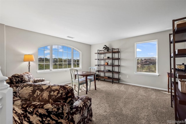 8700 Ehler Pkwy, Brighton, CO 80602 - photo 25