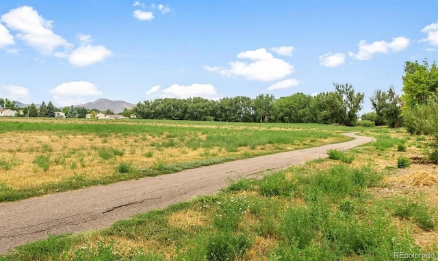 view of community featuring a mountain view and a rural view